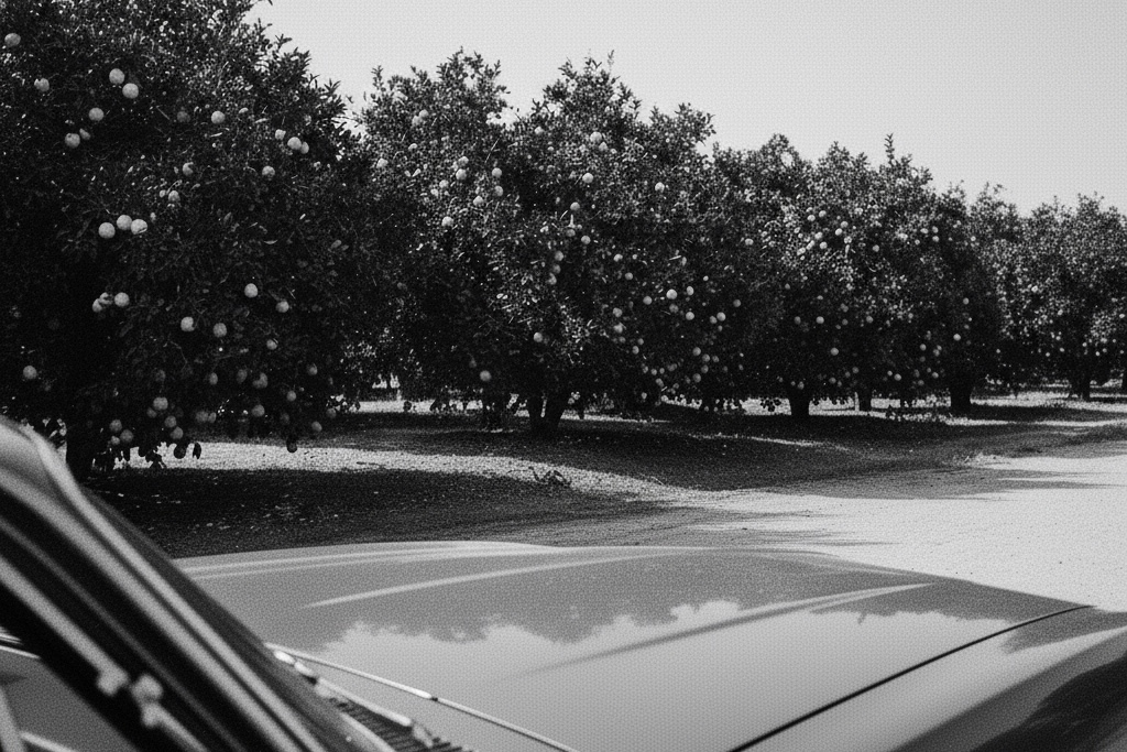 Black and white photograph of the Mission District in San Francisco disappearing into low evening fog